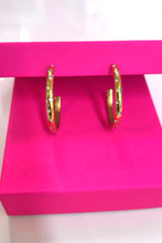 Load image into Gallery viewer, Star Studded Hoops

