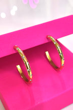 Load image into Gallery viewer, Star Studded Hoops
